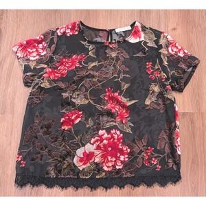 Rewind Velvet Burnout Black Sheer Floral Top Size L Lace Trim Whimsigoth Fairy